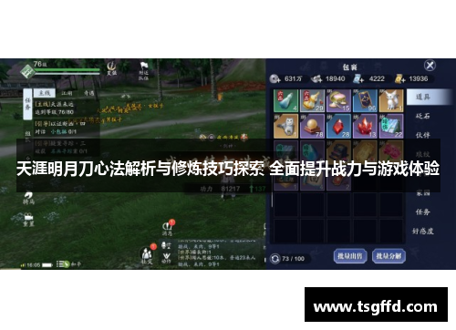 天涯明月刀心法解析与修炼技巧探索 全面提升战力与游戏体验