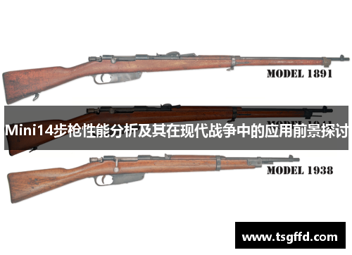 Mini14步枪性能分析及其在现代战争中的应用前景探讨