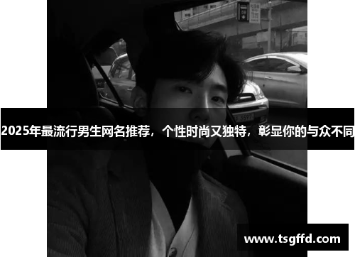 2025年最流行男生网名推荐，个性时尚又独特，彰显你的与众不同