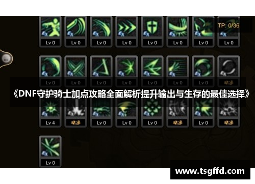 《DNF守护骑士加点攻略全面解析提升输出与生存的最佳选择》