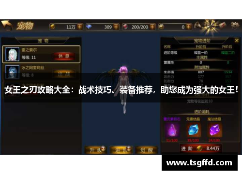 女王之刃攻略大全：战术技巧、装备推荐，助您成为强大的女王！